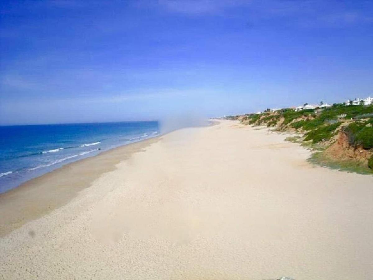 Finca La Tacita - Rosal Conil De La Frontera Buitenkant foto