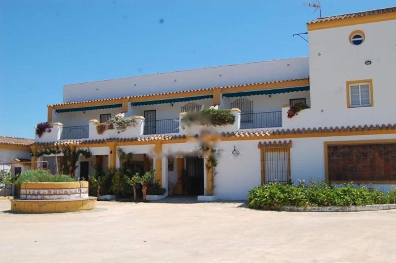 Finca La Tacita - Rosal Conil De La Frontera Buitenkant foto